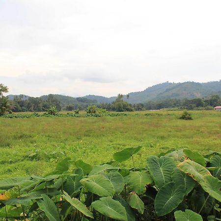 Motel Desa Terrace Langkawi Zewnętrze zdjęcie