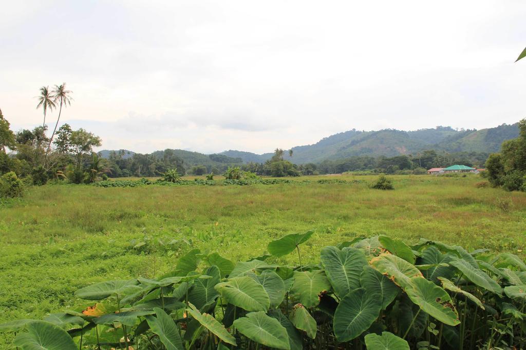 Motel Desa Terrace Langkawi Zewnętrze zdjęcie